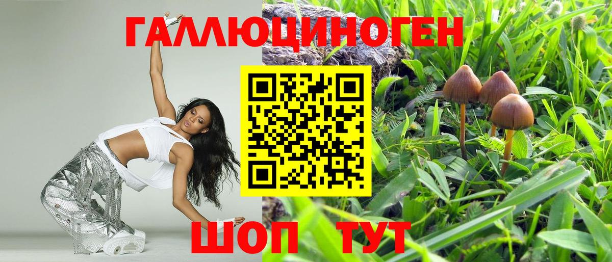 Псилоцибиновые грибы прущие грибы Иваново