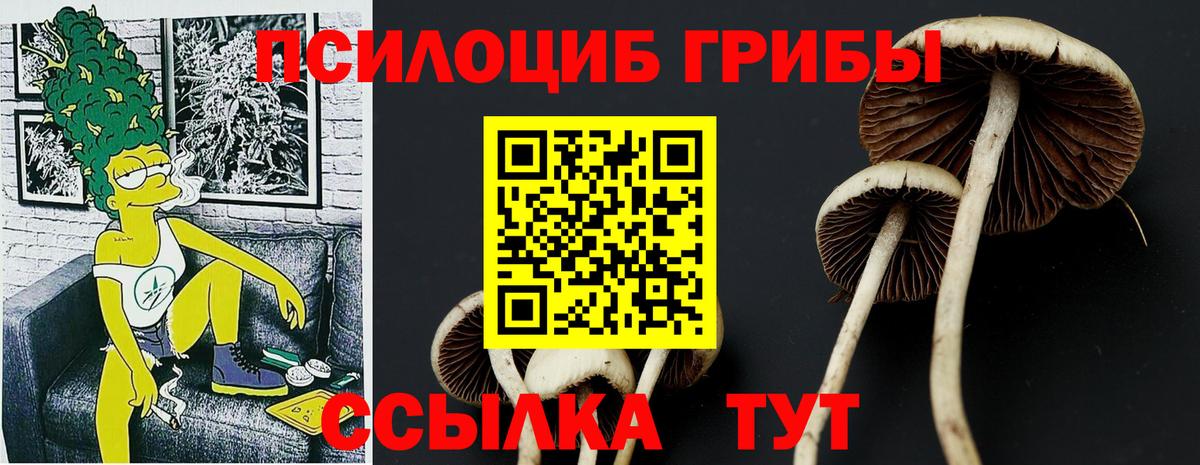 Иваново  Галлюциногенные грибы мухоморы  Вход с VPN 